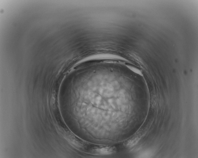 X0000063470365200601271635