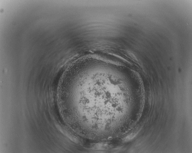 X0000063470366200601271635