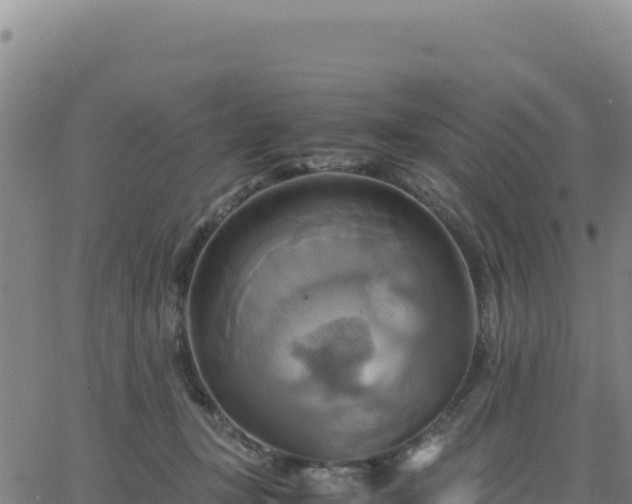 X0000063470367200601271635