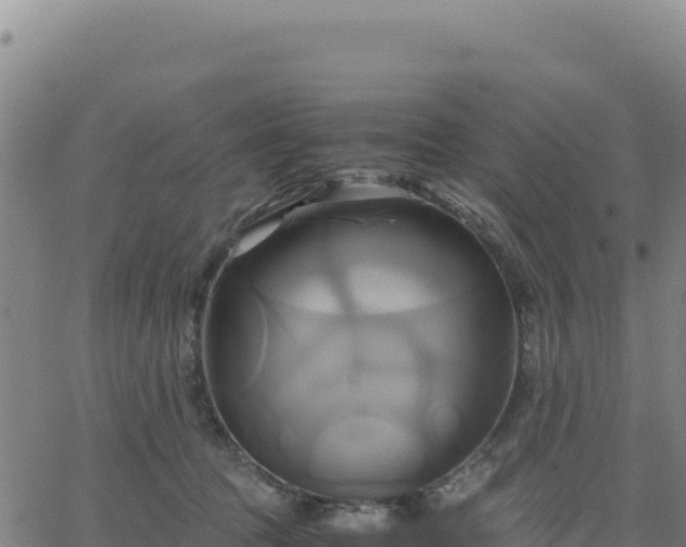 X0000063470369200601271635