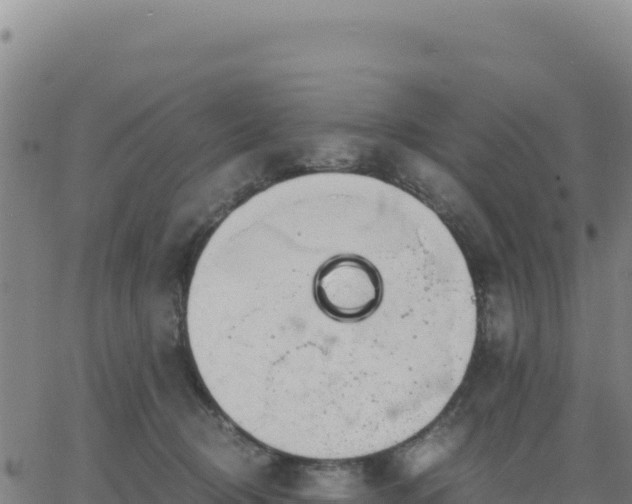 X0000063470370200601271635