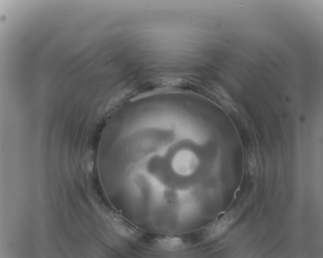 X0000063470374200601271635