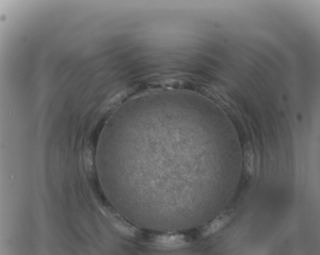 X0000063470375200601271635