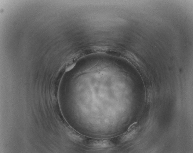 X0000063470377200601271636