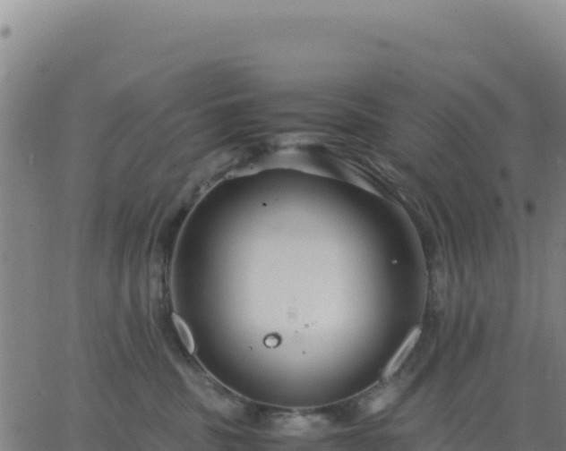 X0000063470379200601271636