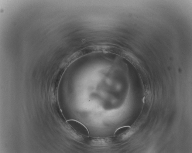 X0000063470381200601271636