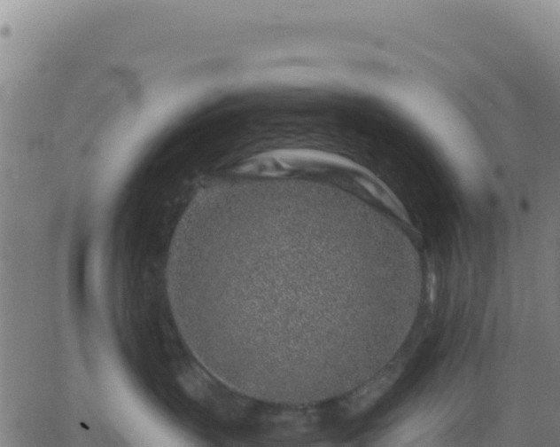 X0000063470383200601271636