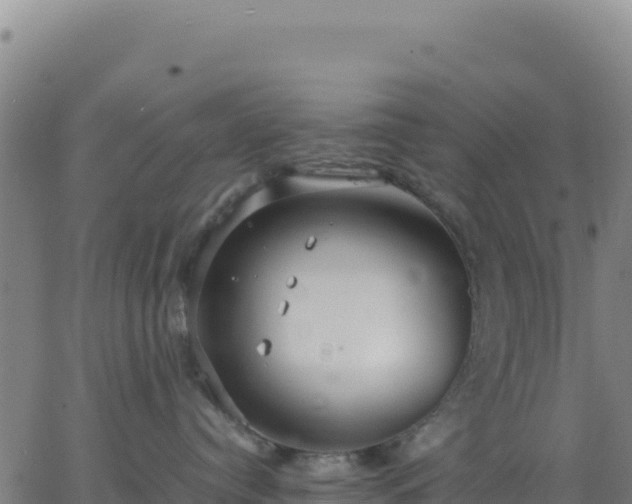 X0000063470384200601271636