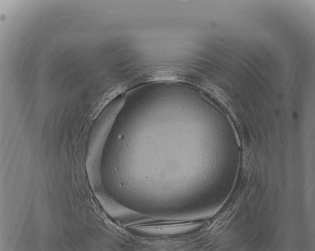 X0000063470385200601271635