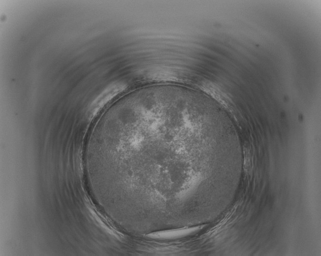 X0000063470390200601271635