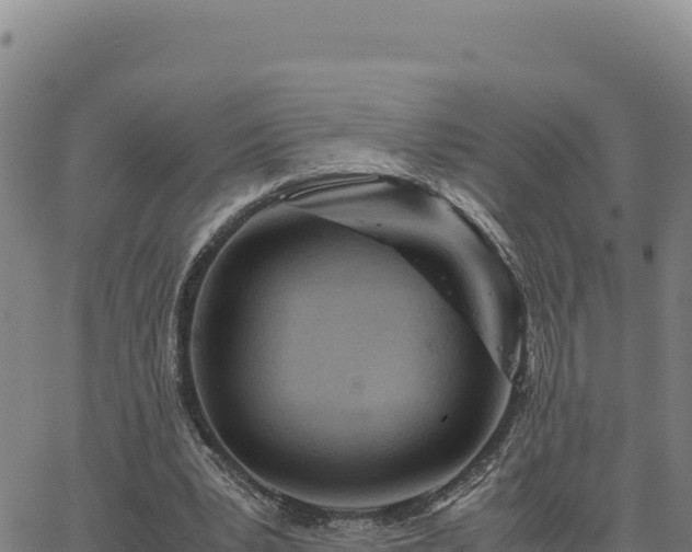 X0000063470391200601271635