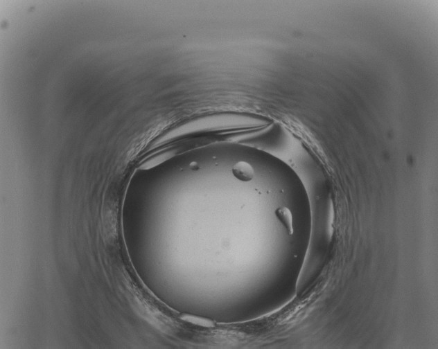 X0000063470393200601271635