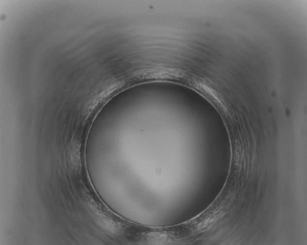 X0000063470394200601271635