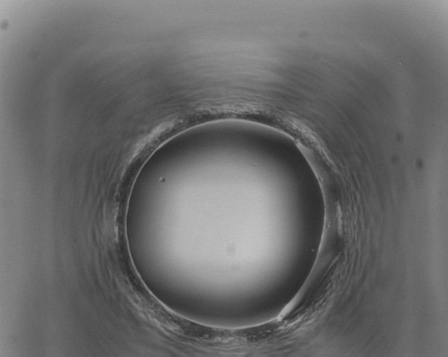 X0000063470395200601271635