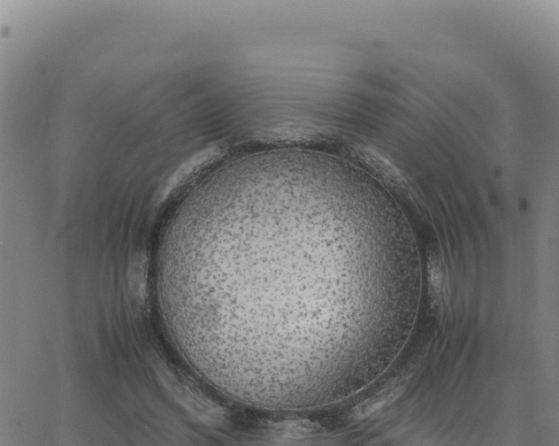 X0000063470396200601271635