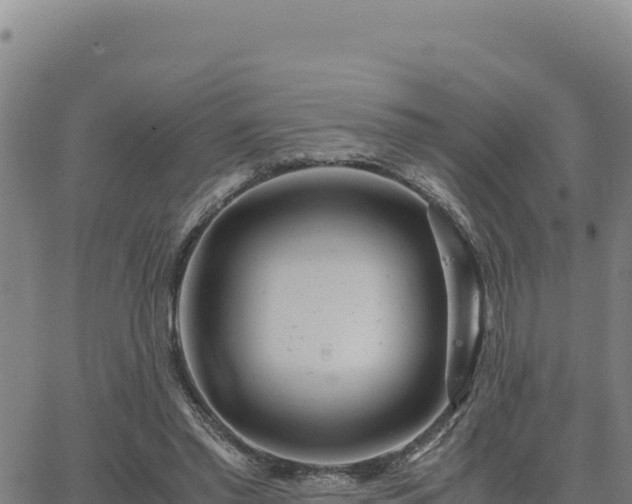 X0000063470397200601271635