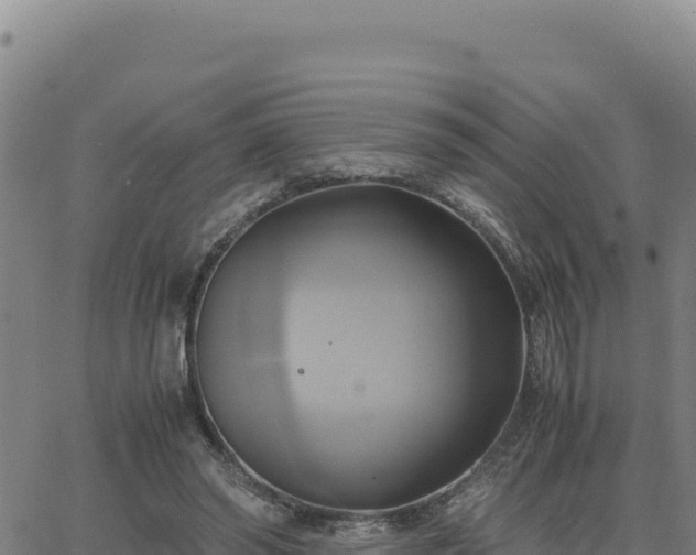 X0000063470398200601271635