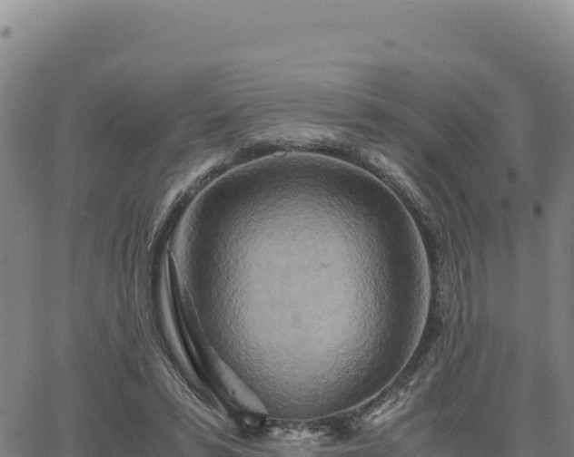 X0000063470399200601271635