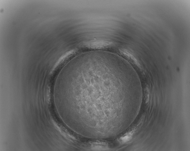 X0000063470400200601271635