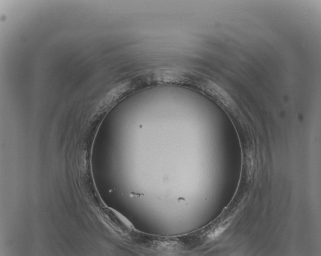 X0000063470401200601271635