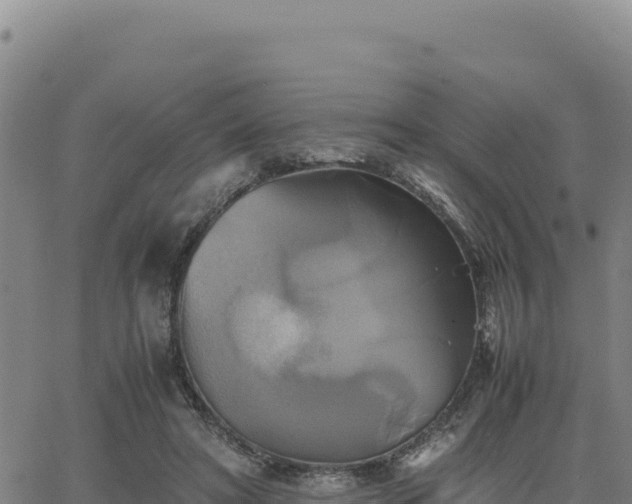 X0000063470402200601271635