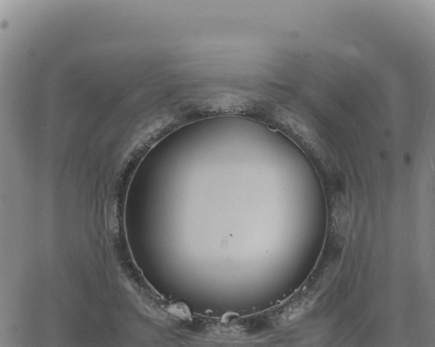 X0000063470403200601271635