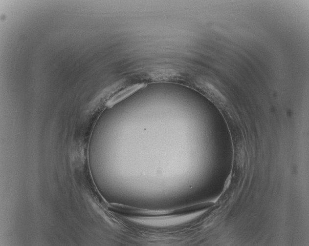 X0000063470405200601271635