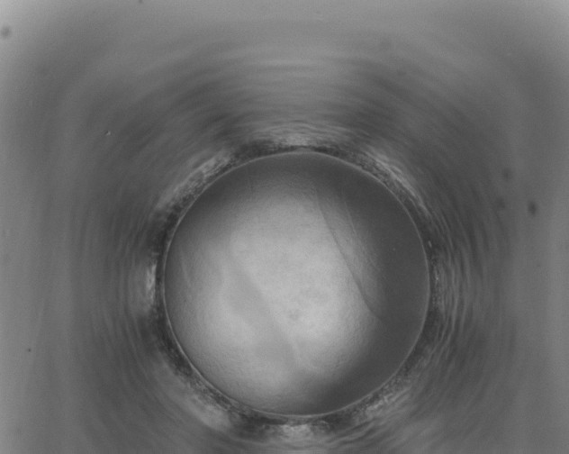 X0000063470406200601271634