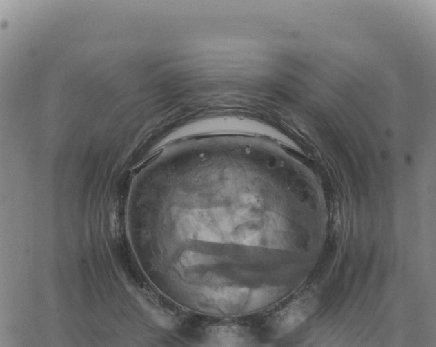 X0000063470408200601271634