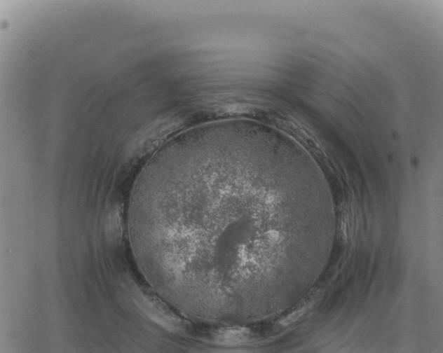 X0000063470410200601271634