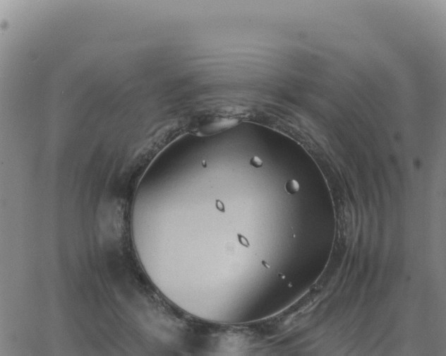 X0000063470412200601271634