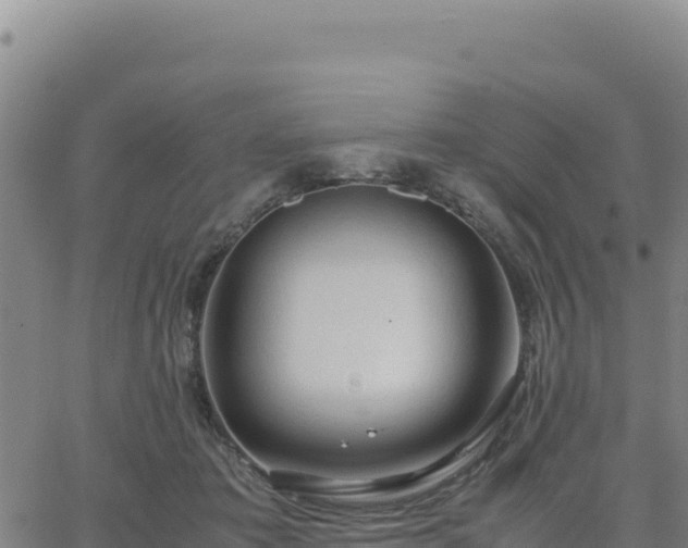 X0000063470413200601271634