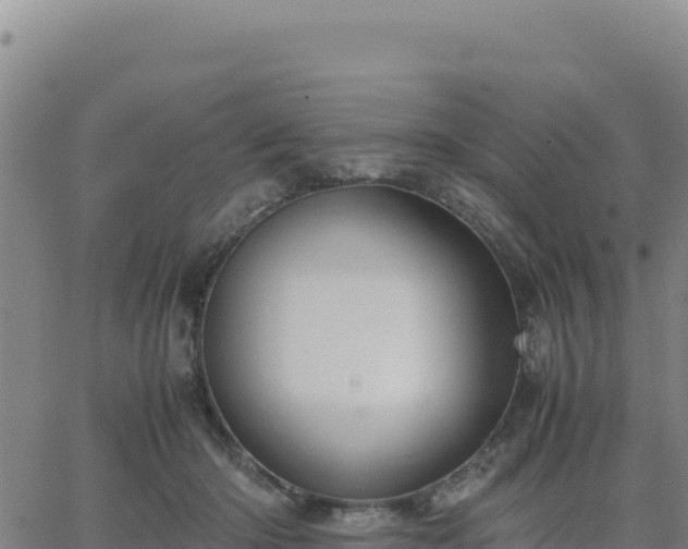 X0000063470414200601271634