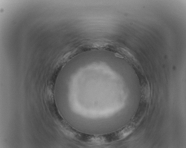 X0000063470415200601271634