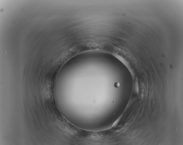 X0000063470416200601271634