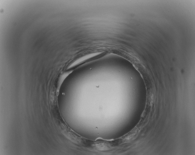 X0000063470417200601271634