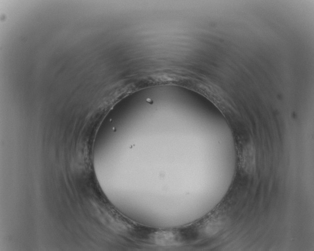 X0000063470418200601271634