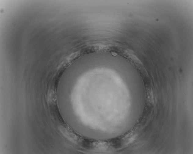 X0000063470419200601271634