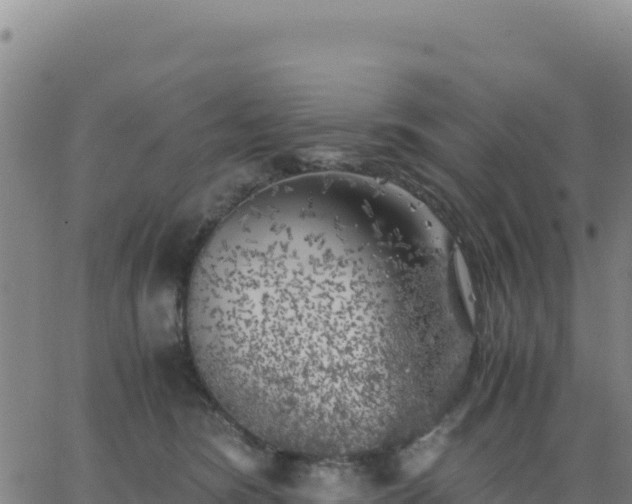 X0000063470420200601271634