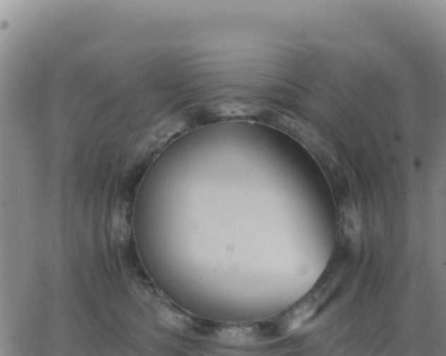 X0000063470422200601271634