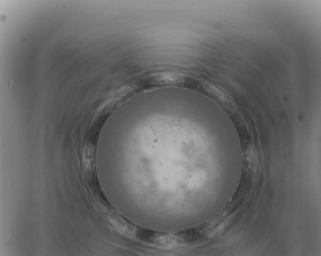 X0000063470423200601271634