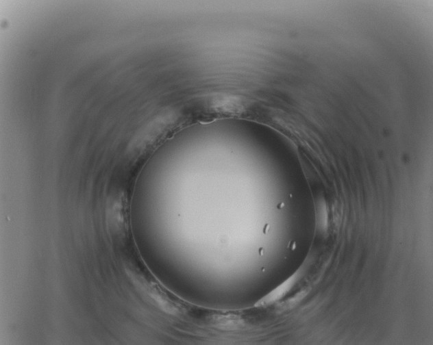 X0000063470424200601271634