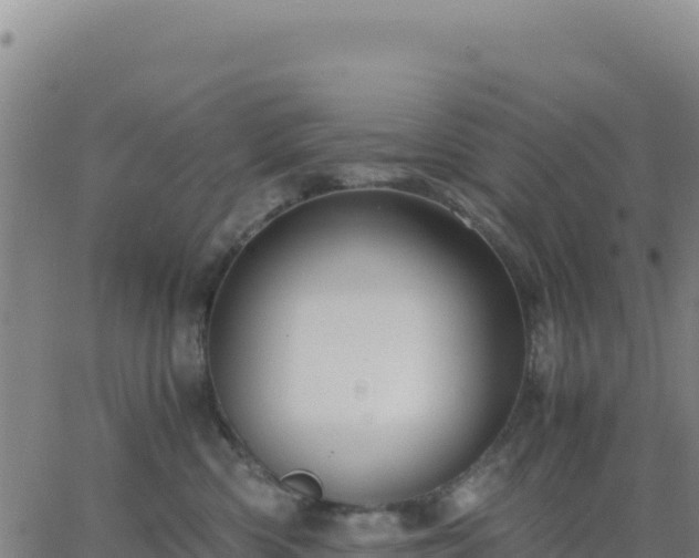 X0000063470426200601271634