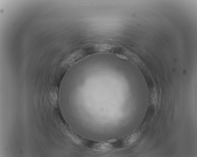 X0000063470427200601271634