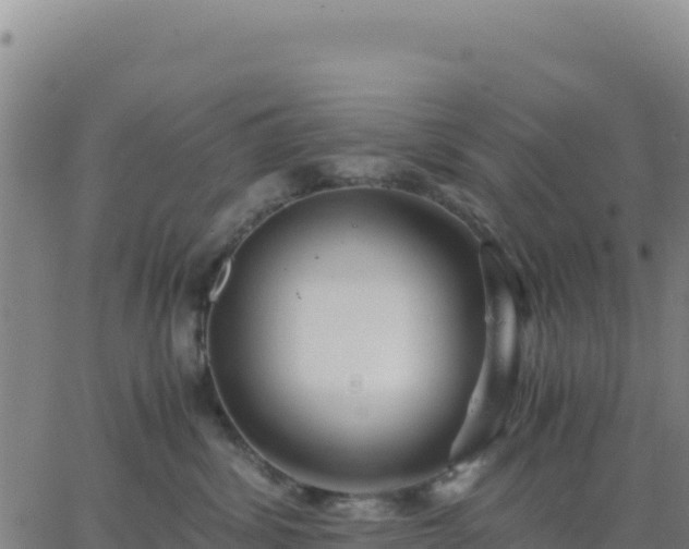 X0000063470428200601271634