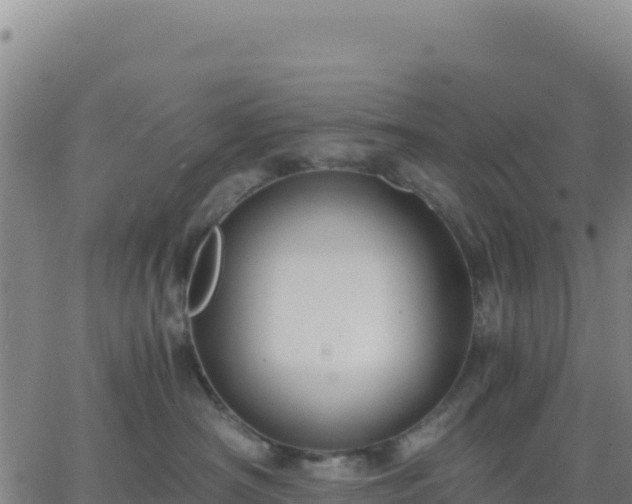 X0000063470430200601271634