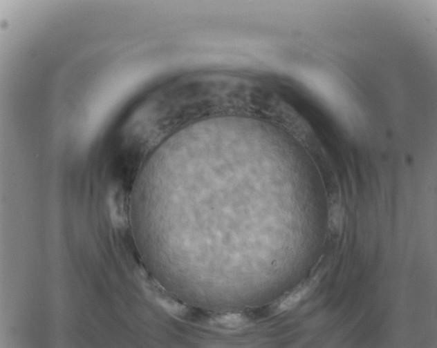 X0000063470431200601271634