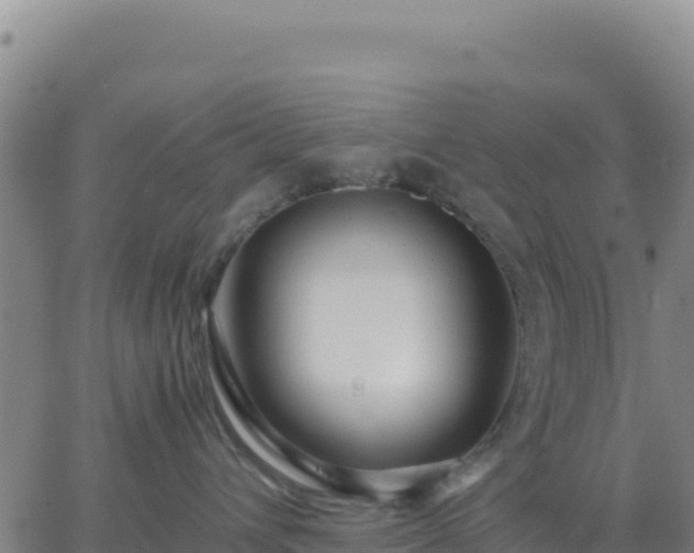 X0000063470432200601271634