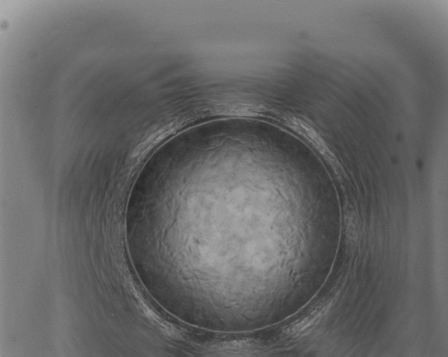 X0000063470433200601271633