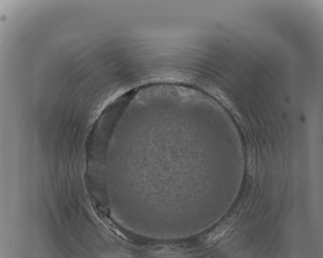 X0000063470434200601271633